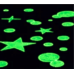 foglio adesivo fluorescente fotoluminescente foglio adesivo fluorescente fotoluminescente foglio adesivo fluorescente fotoluminescente 5